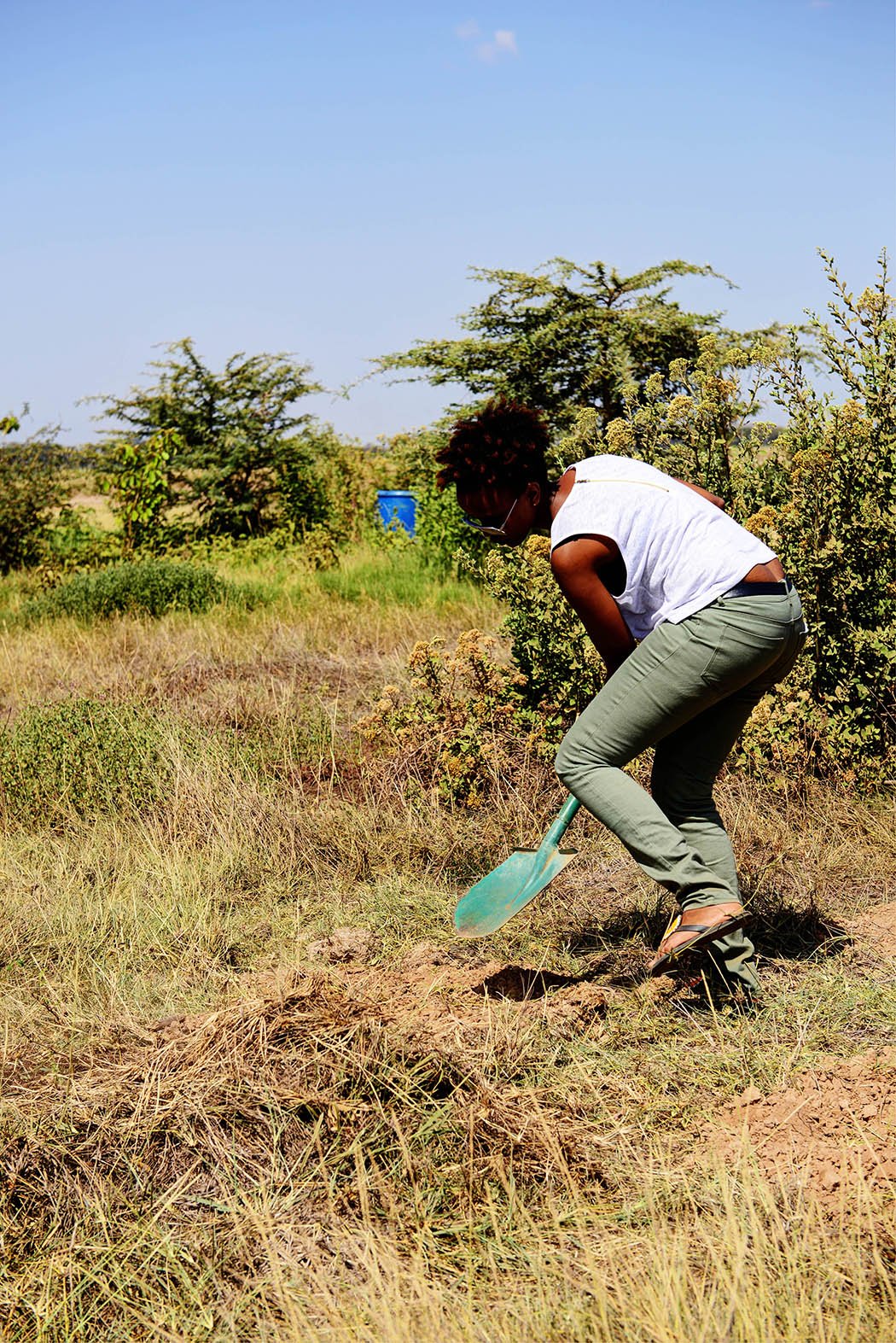 Amboseli Serena Safari Lodge_tree planting