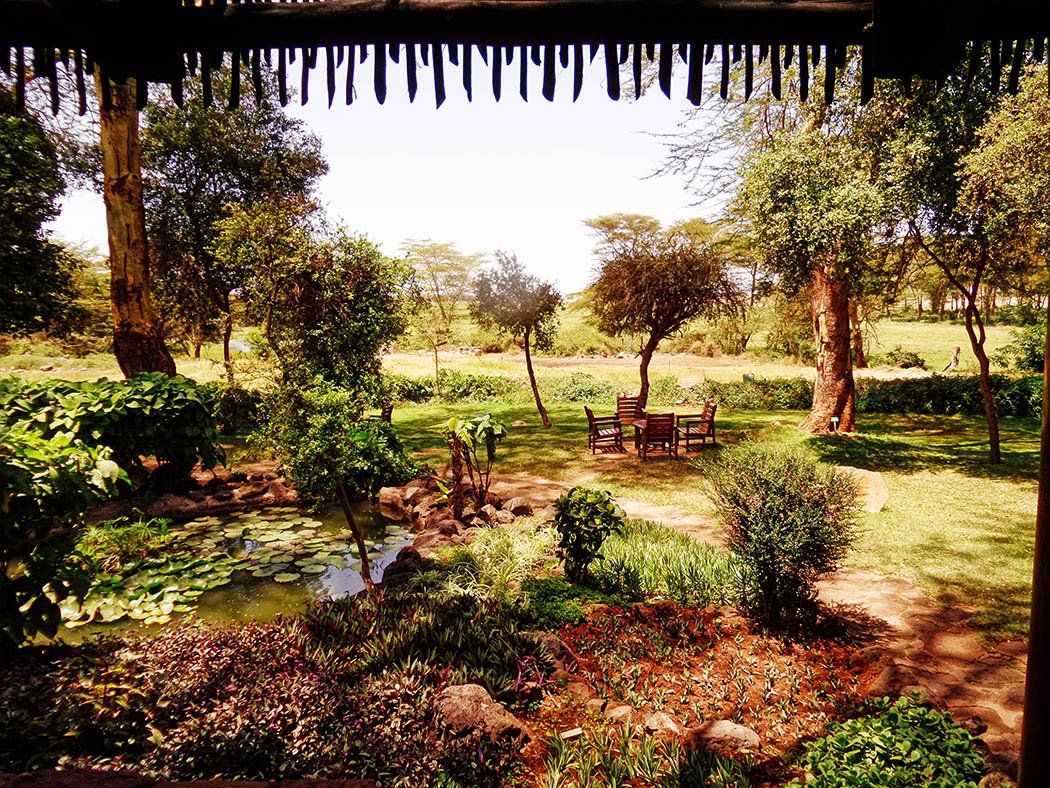 Amboseli Serena Safari Lodge_view from reception