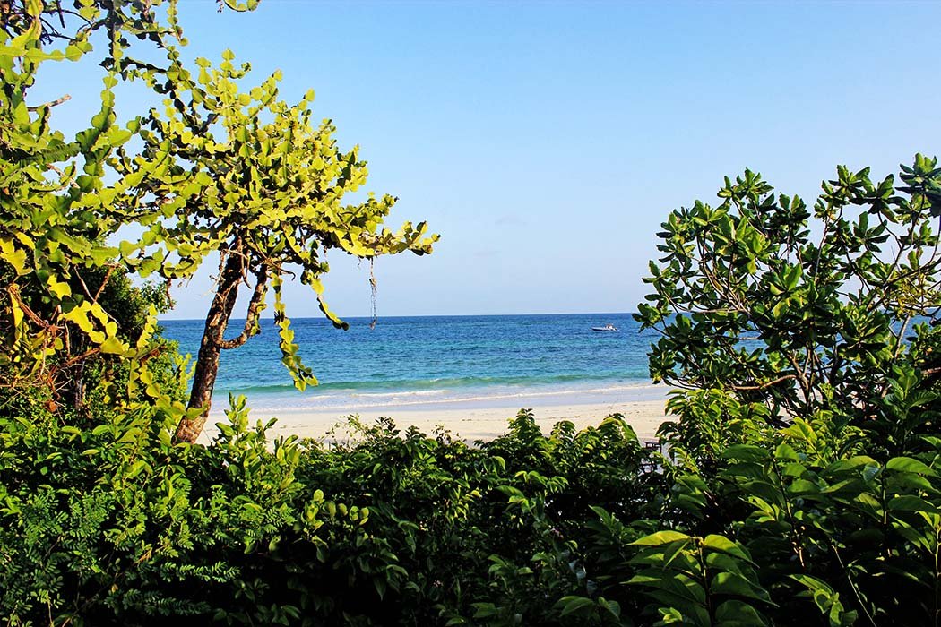 The Sands at Chale Island_ view of beach from cottage