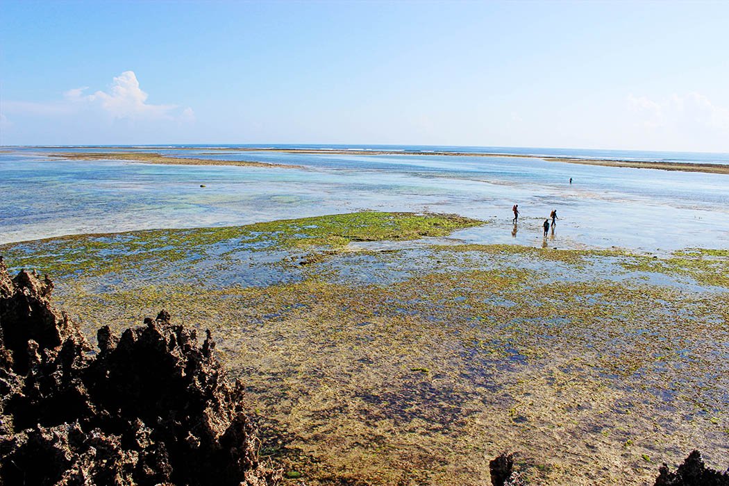 The Sands at Chale Resort_ low tide