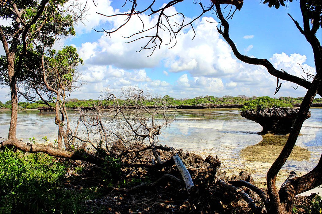 The Sands at Chale Resort_low tide 2