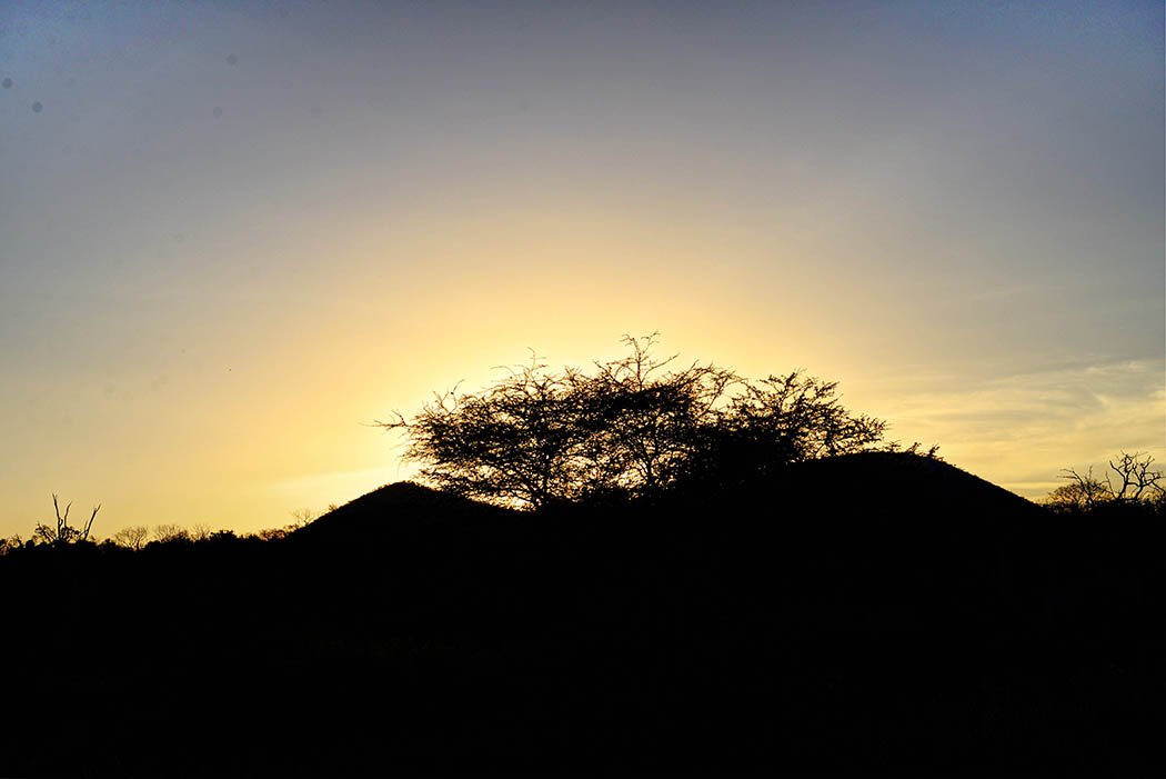 Tsavo West National Park_Dusk2