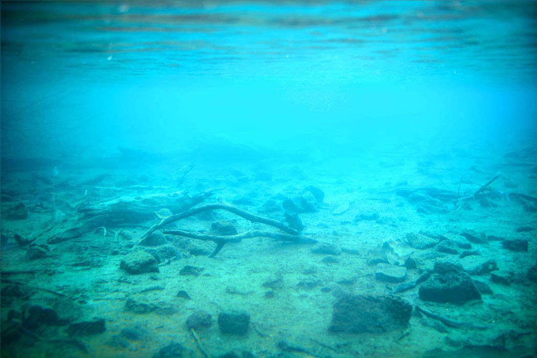 Tsavo West National Park_Mzima Springs underwater