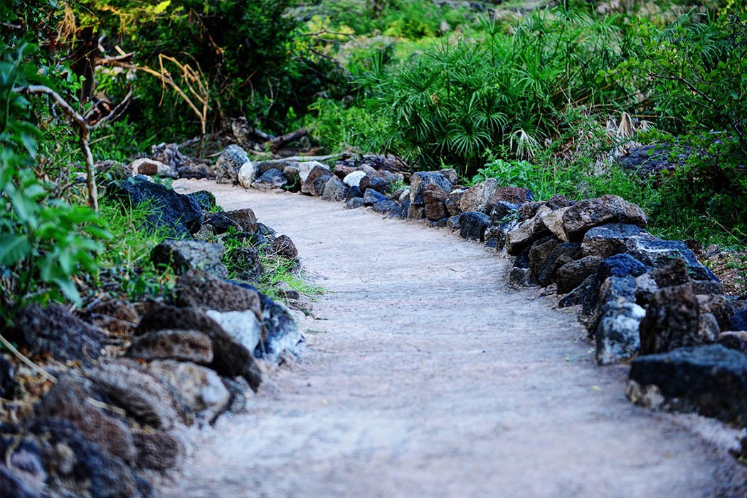 Tsavo West National Park_Path
