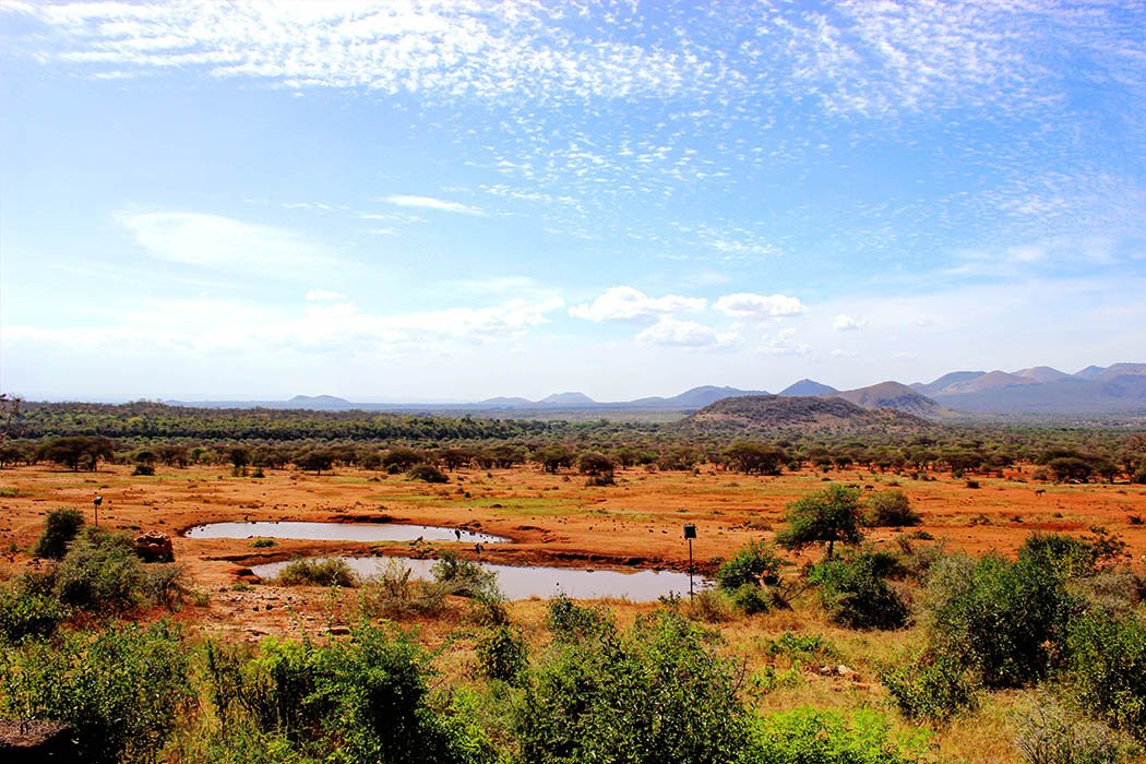 Tsavo West National Park_Waering hole