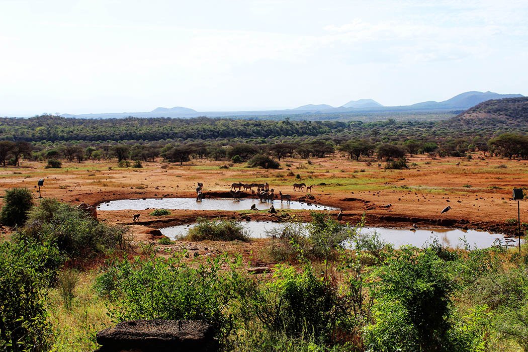 Tsavo West National Park_Watering hole1