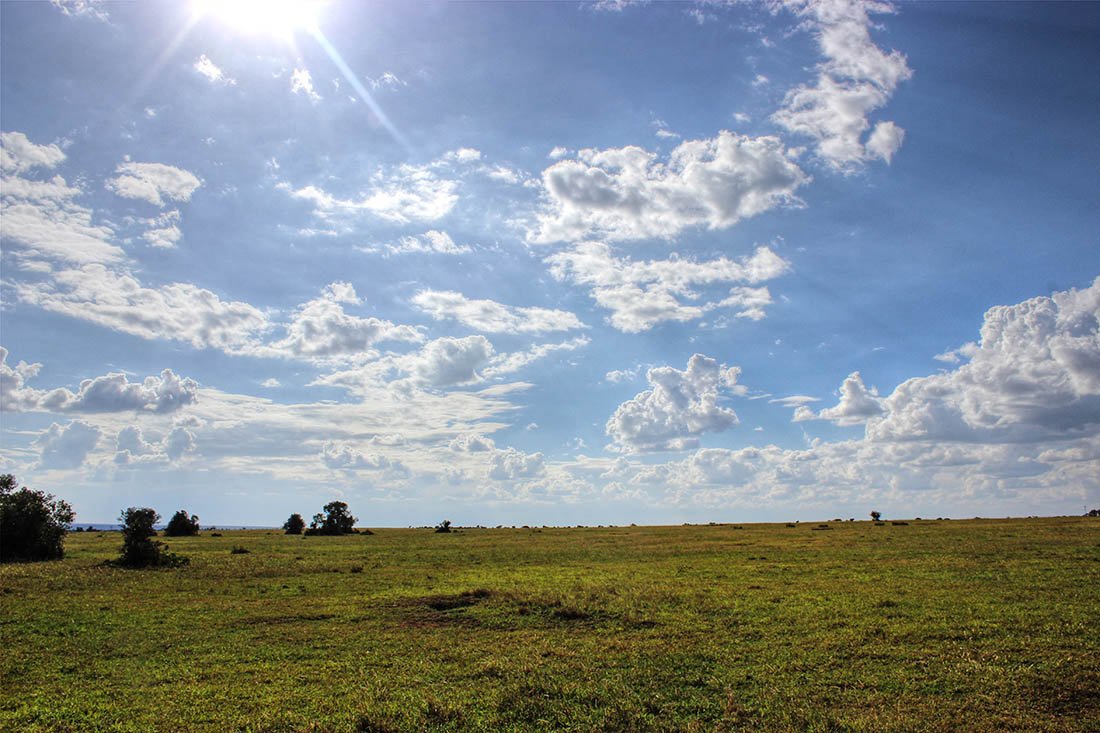 Ol Pejeta Conservancy_Scenery