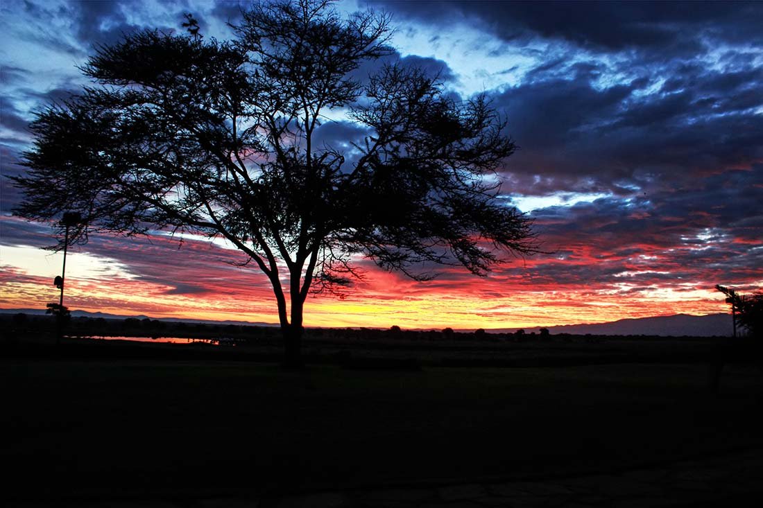 Sweetwaters Serena Camp_Sunrise
