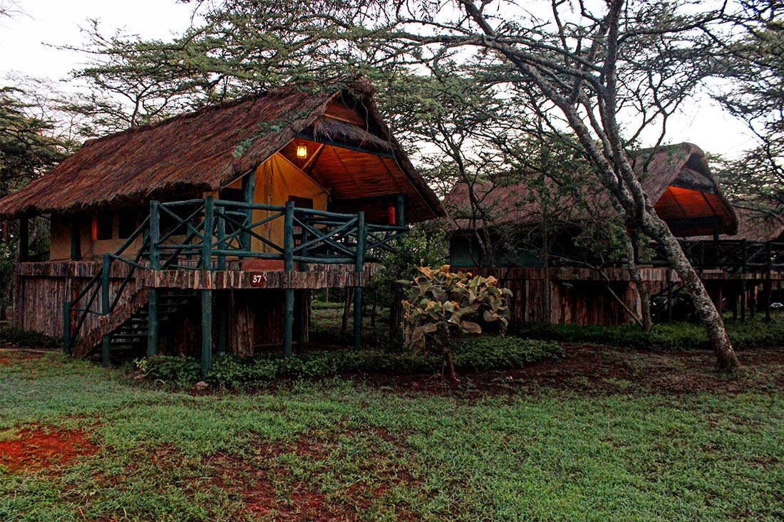 Sweetwaters Serena Camp_Tents