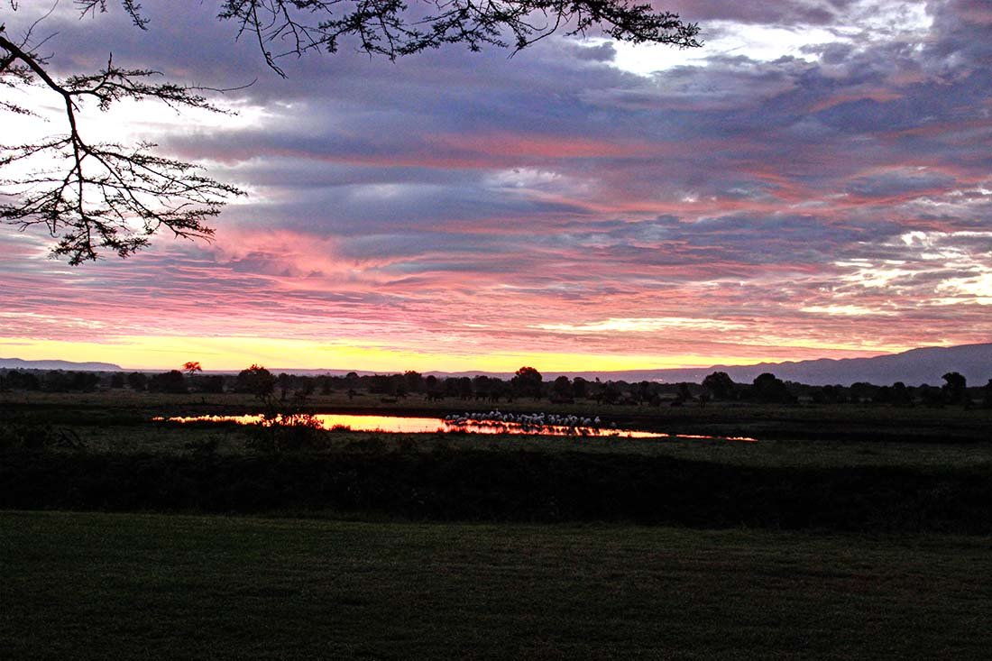 Sweetwaters Serena Camp_Watering hole