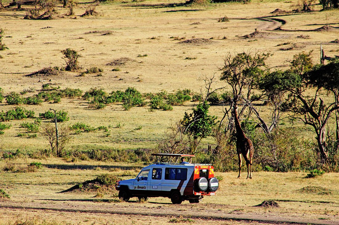 Maasai Mara_Giraffe3
