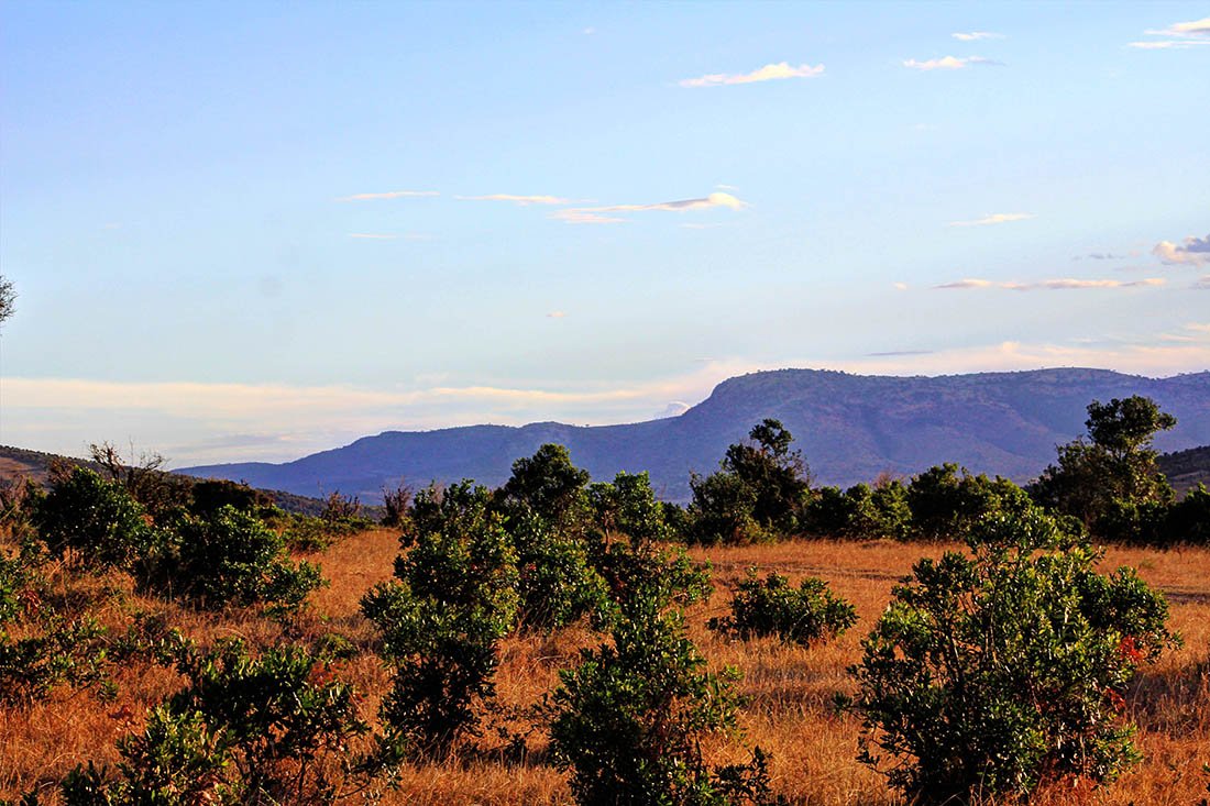 Maasai Mara_Landscape1