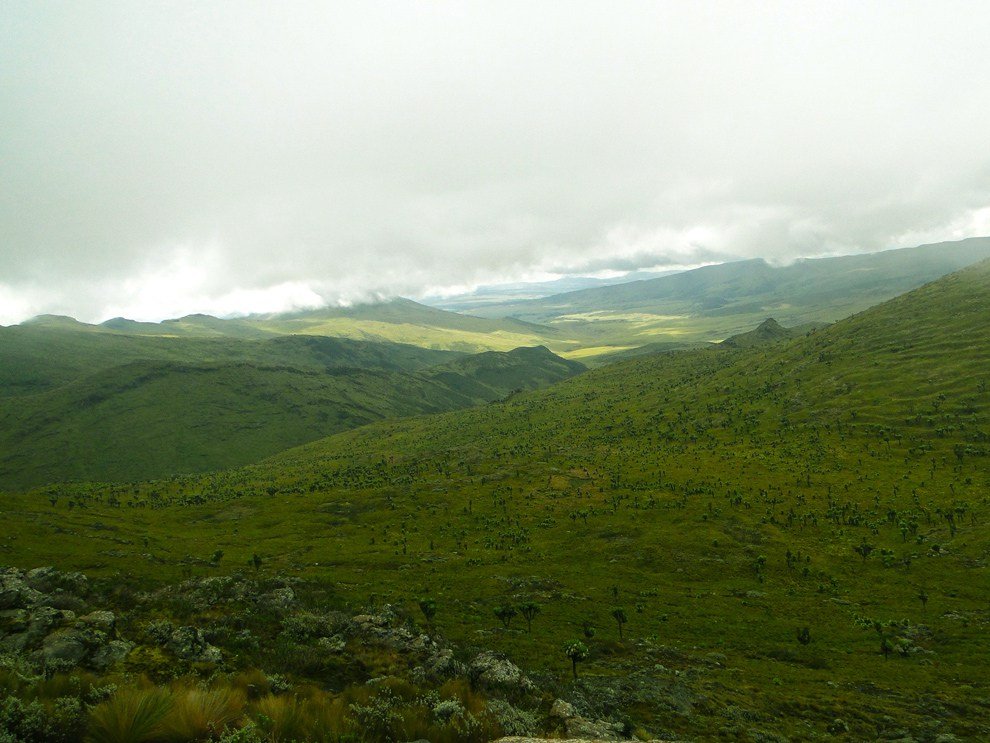 Aberdare National Park_rolling hills and valleys