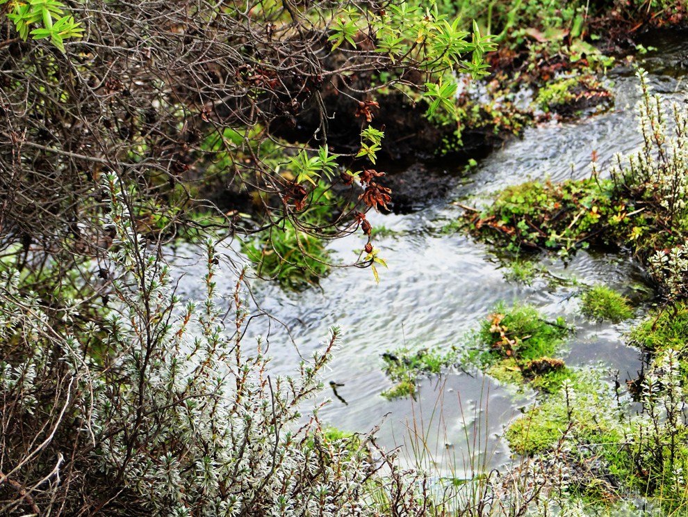 Aberdare National Park_stream