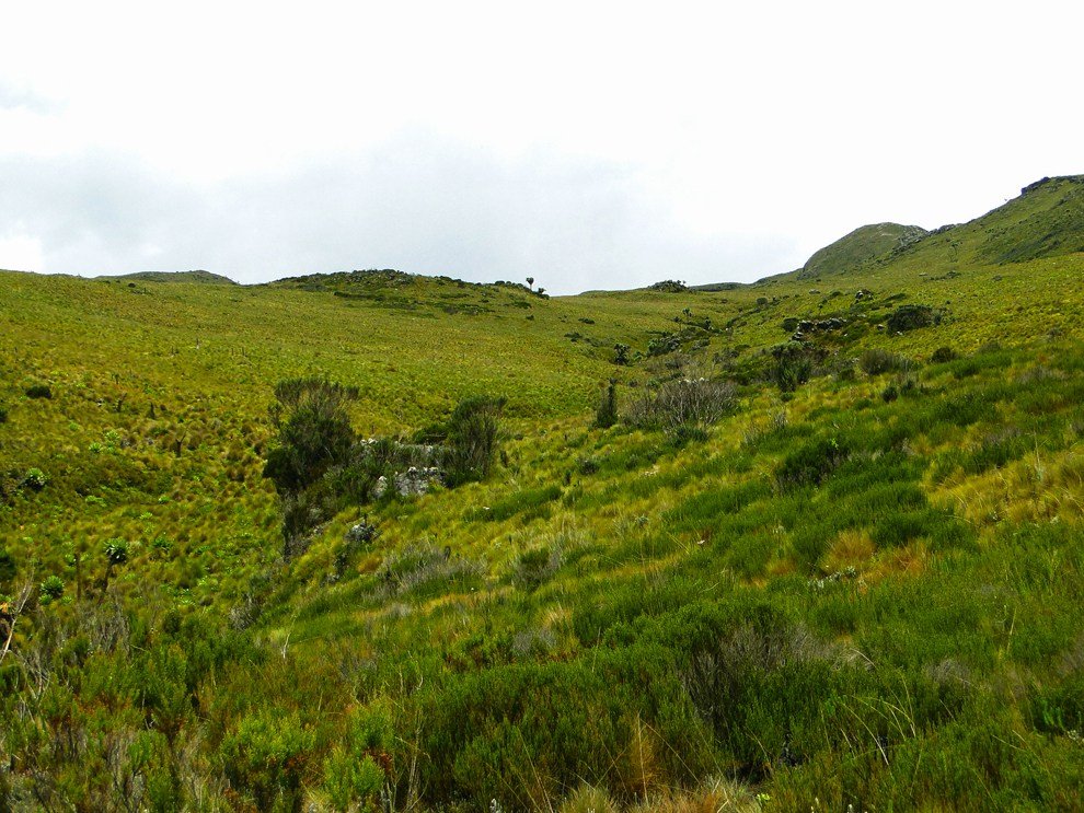 Aberdare National Park_valley