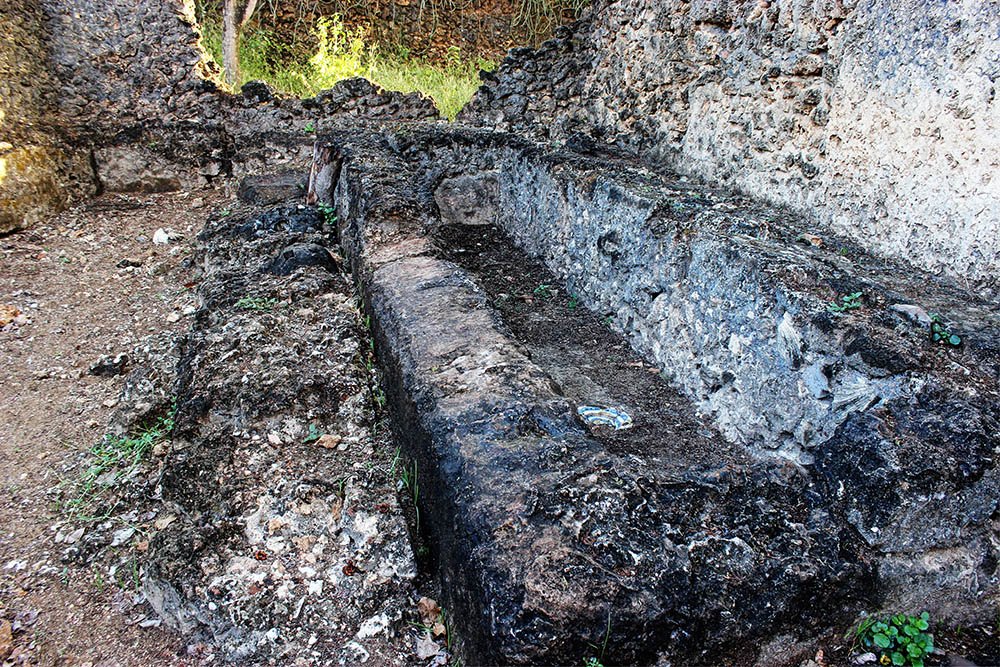 Takwa Ruins_Ablution2