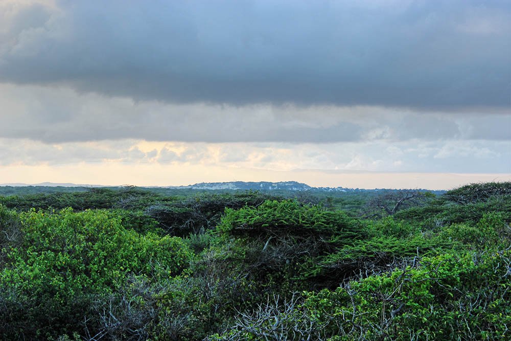 Takwa Ruins_overcast