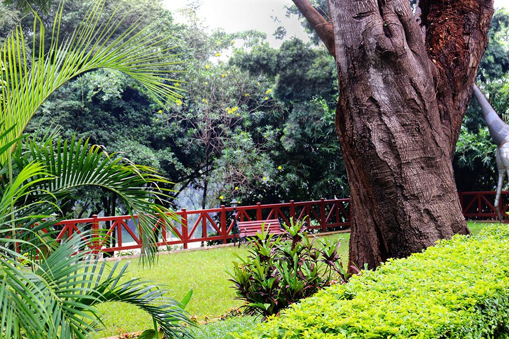 Flame Tree Restaurant_gardens 2