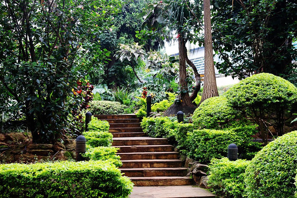 Flame Tree Restaurant_gardens 3