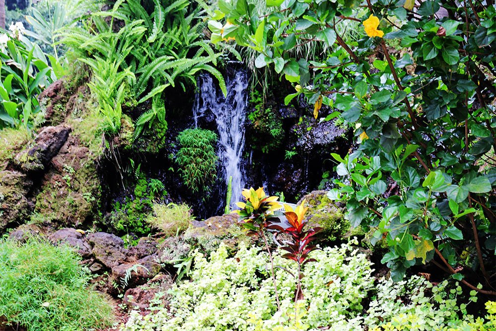 Flame Tree Restaurant_gardens 4