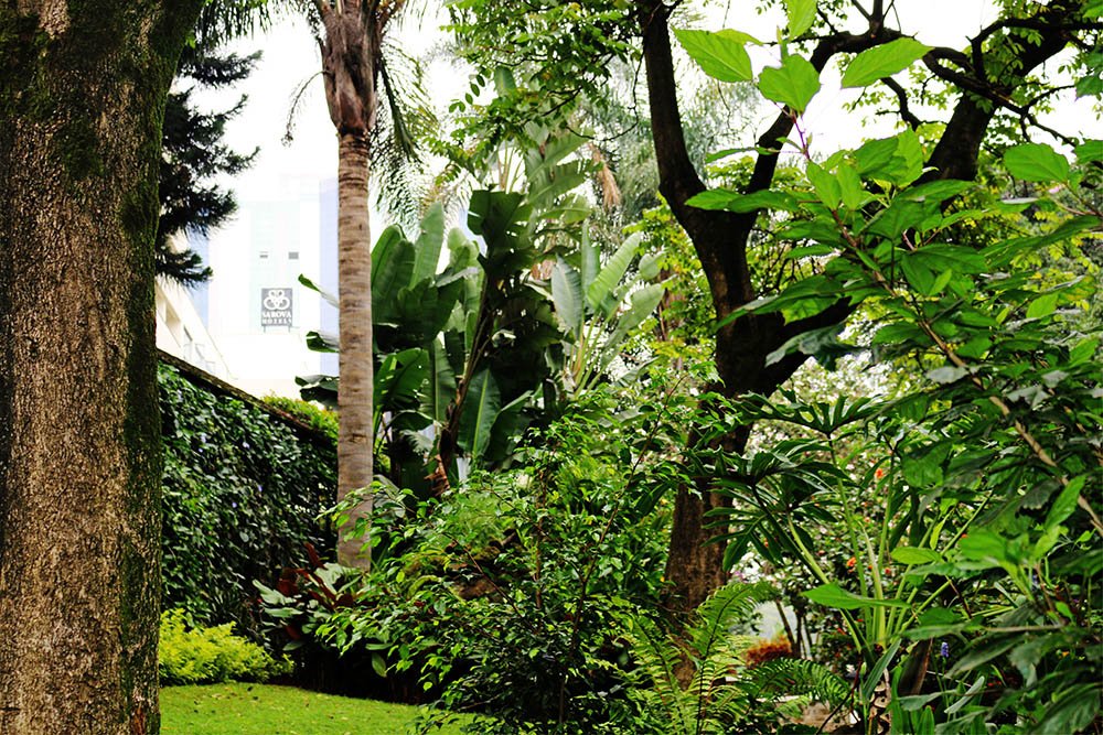 Flame Tree Restaurant_gardens 5