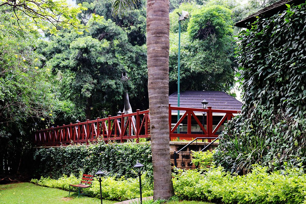 Flame Tree Restaurant_gardens 6