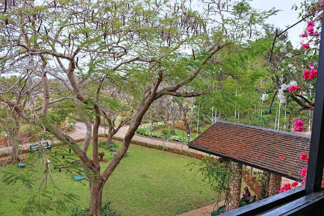 sarova-taita-hills-game-lodge_view-from-room