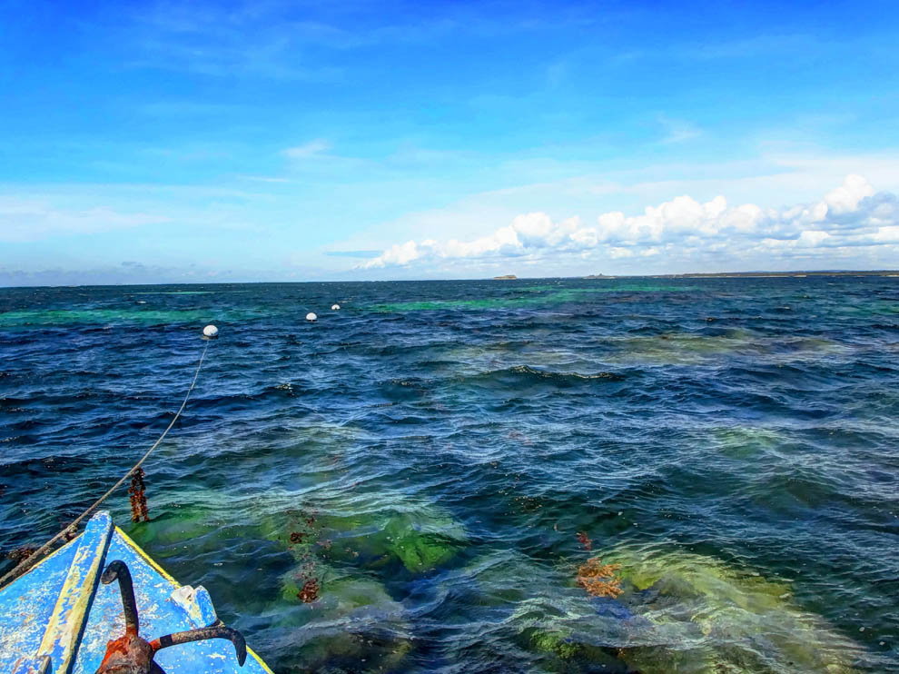 Watamu Marine National Park